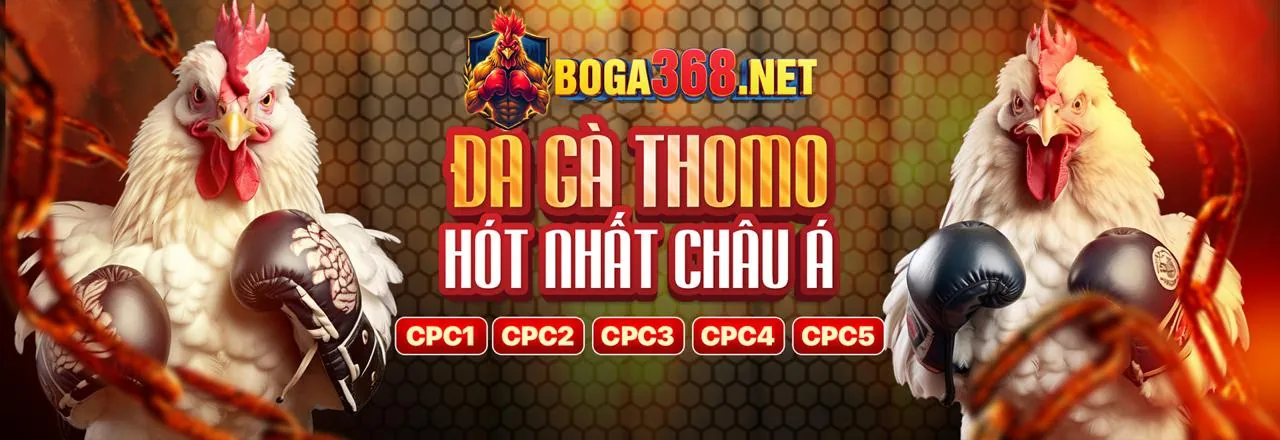 Các tính năng thưởng và vòng quay miễn phí trong slot game